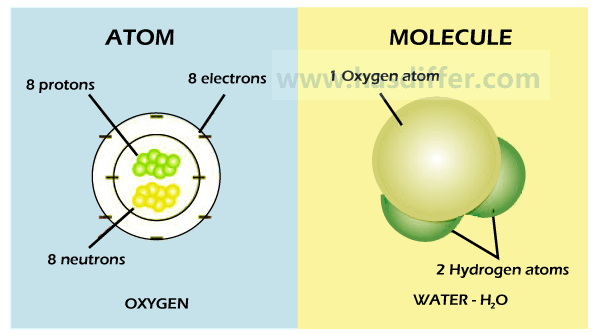 原子和分子的区别
